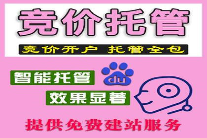 某大型企业sem代运营推广合作案例揭秘